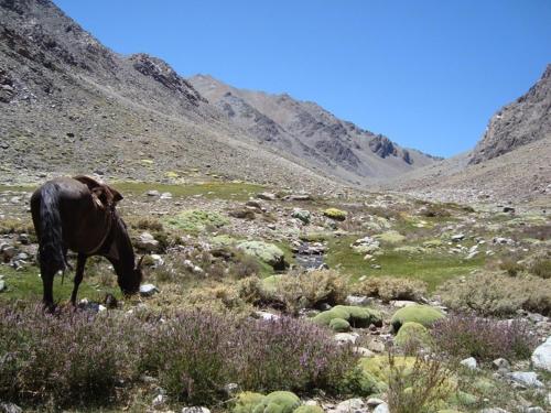 Imagen 3 de 47