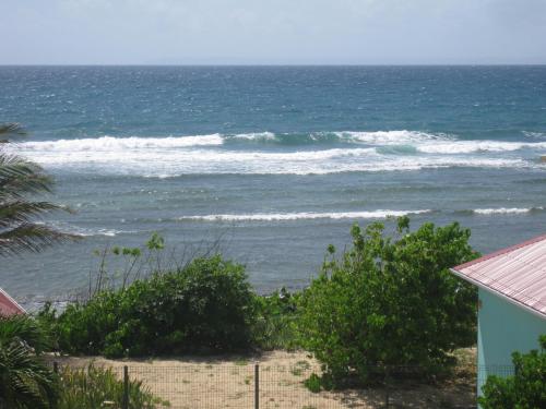 Imagen 4 de 81