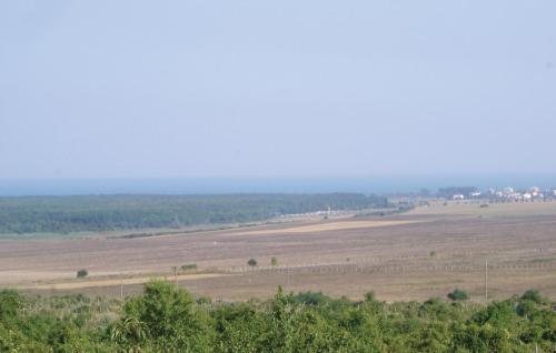 Imagen 5 de 8