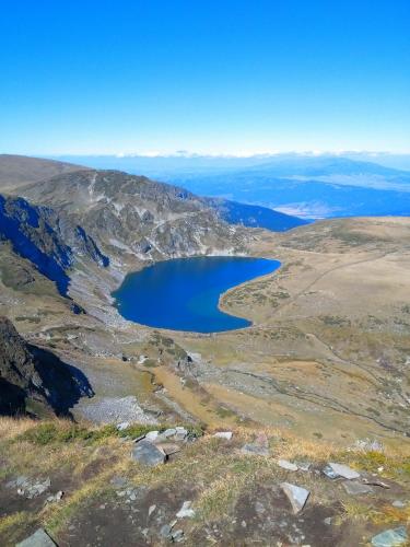 Imagen 1 de 12
