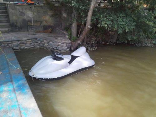 Imagen 3 de 51