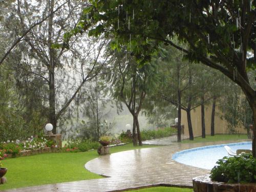 Imagen 3 de 74