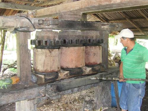 Imagen 4 de 55