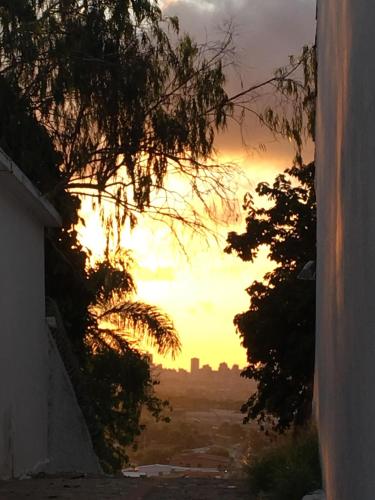 Imagen 2 de 2