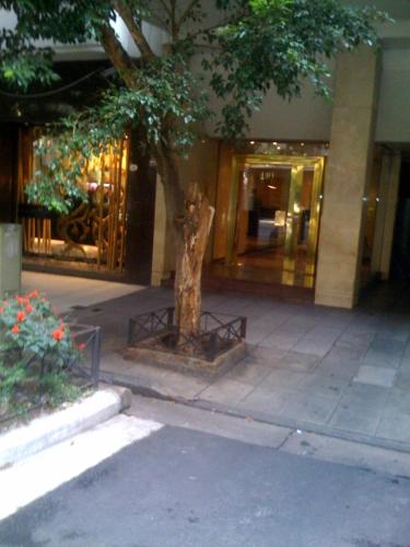 Imagen 3 de 6