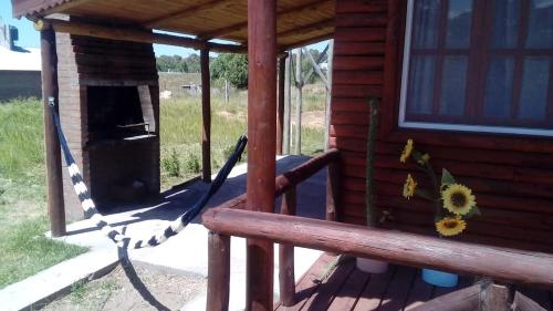 Imagen 2 de 14