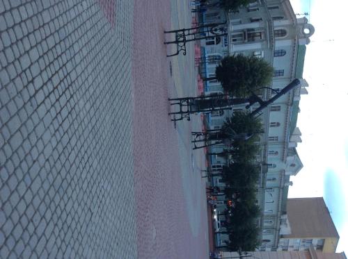 Imagen 4 de 7