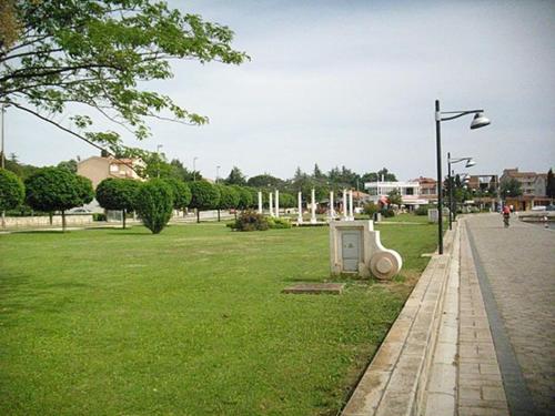 Imagen 4 de 7