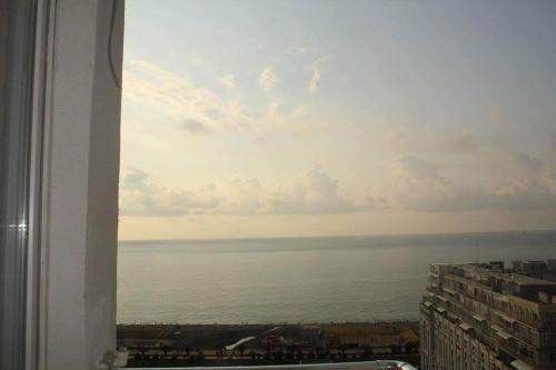Imagen 3 de 7