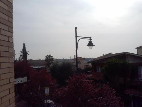 Imagen 3 de 22