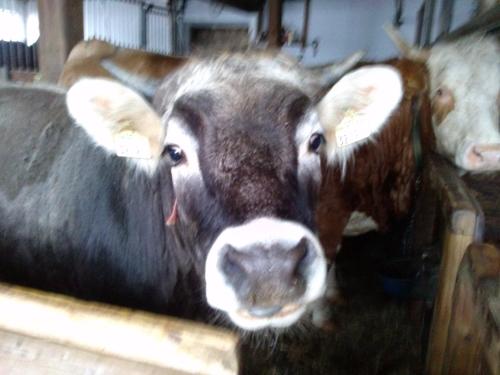 Imagen 5 de 18