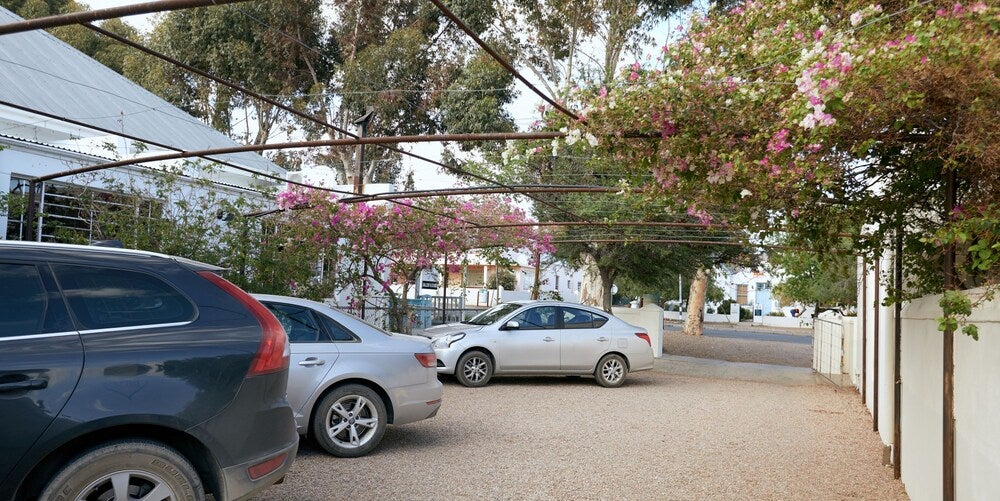 Imagen 3 de 85
