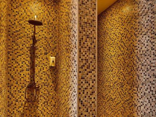 Imagen 5 de 19