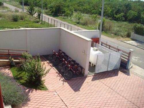 Imagen 3 de 31