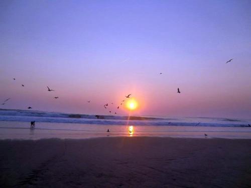 Imagen 2 de 16