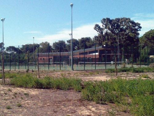Imagen 3 de 16
