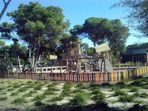 Imagen 4 de 16