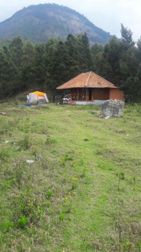 Imagen 4 de 7