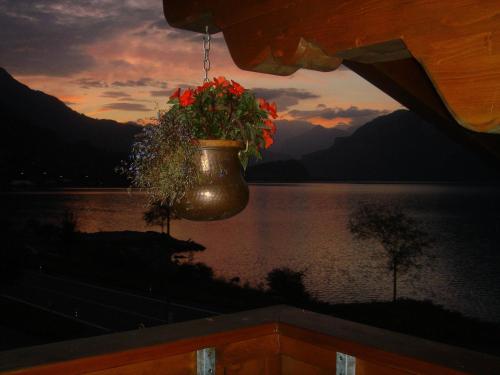Imagen 3 de 28
