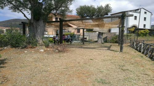 Imagen 1 de 12