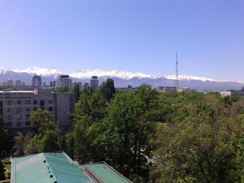 Imagen 1 de 3
