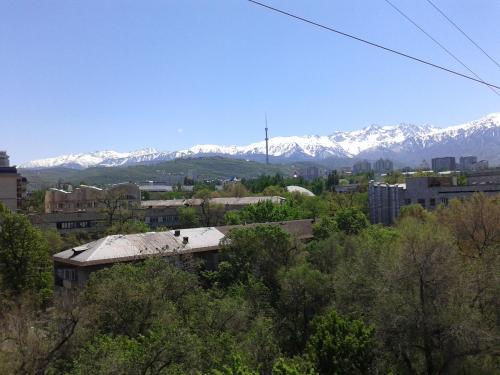 Imagen 2 de 3