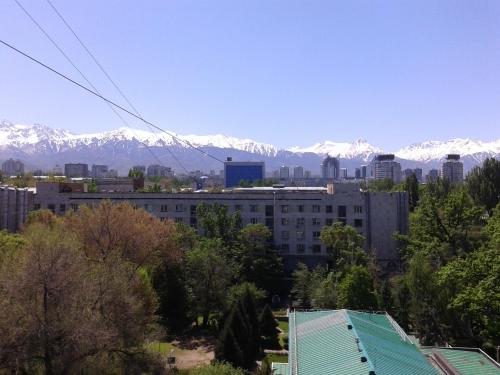 Imagen 3 de 3