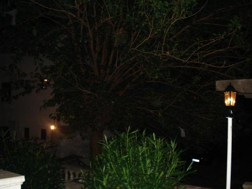 Imagen 3 de 54