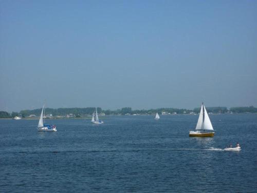 Imagen 2 de 21