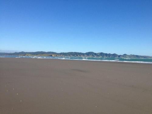 Imagen 2 de 19