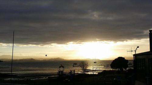 Imagen 5 de 19