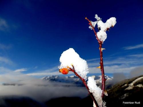 Imagen 5 de 40