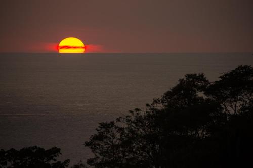 Imagen 4 de 58