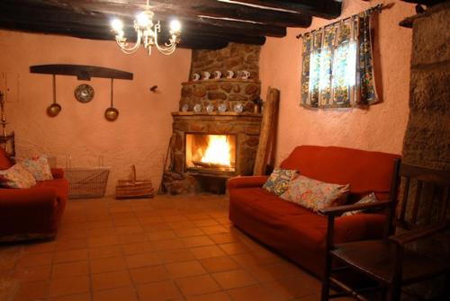 Imagen 4 de 20