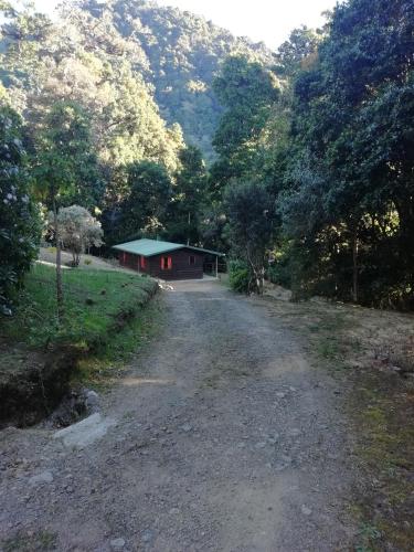 Imagen 5 de 8