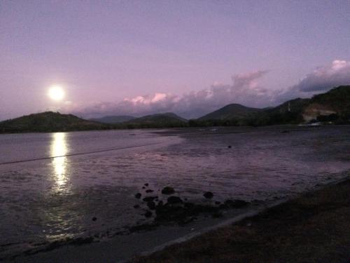 Imagen 4 de 19