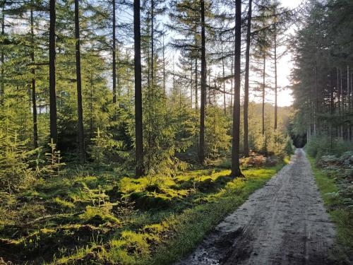 Imagen 3 de 14