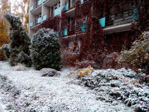 Imagen 3 de 36