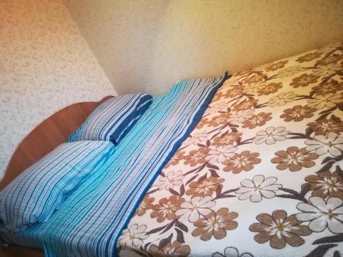 Imagen 1 de 14