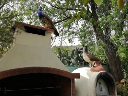 Imagen 5 de 20