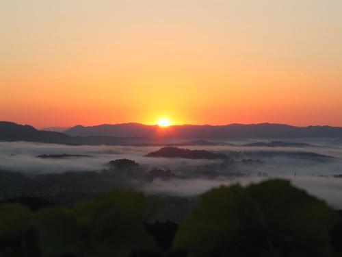 Imagen 5 de 34