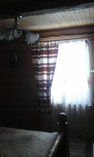 Imagen 5 de 10