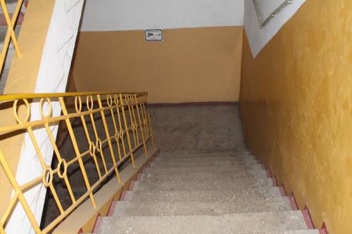 Imagen 1 de 57