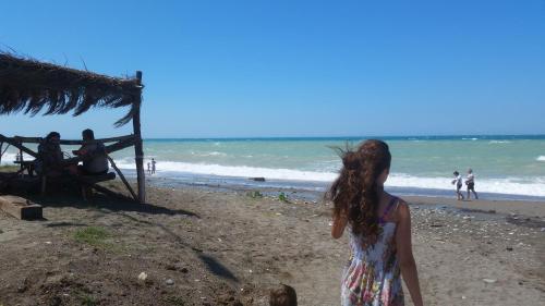 Imagen 1 de 14