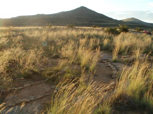 Imagen 5 de 20