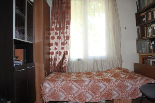 Imagen 3 de 4