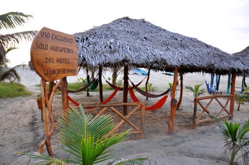 Imagen 3 de 21