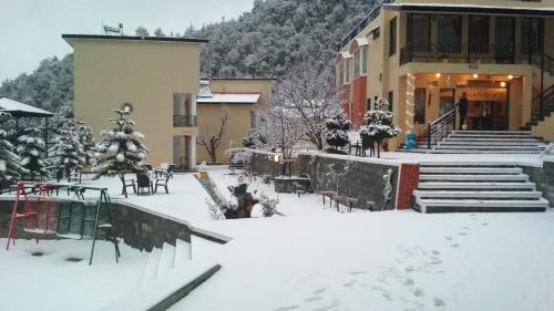 Imagen 3 de 8