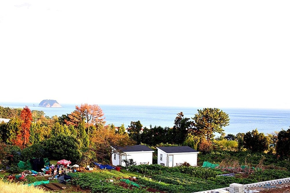 Imagen 5 de 56