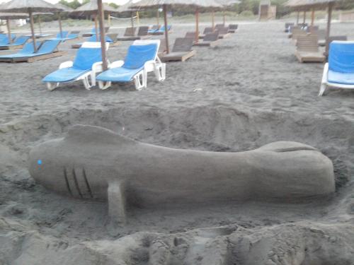 Imagen 3 de 31